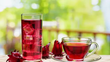 El poder de la flor de Jamaica en el organismo El poder de la flor de Jamaica en el organismo