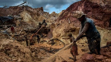 Conoce cuándo comenzará el plan de reforestación en zonas afectadas por la minería ilegal