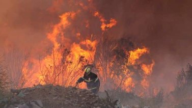 Incrementa la cifra de fallecidos por incendios en Chile