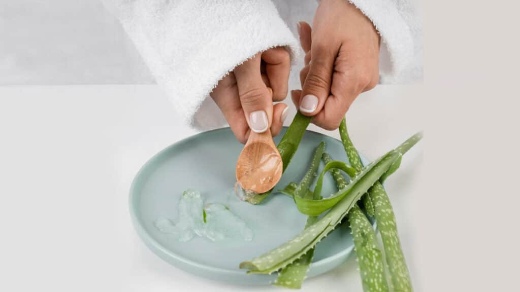 Así puedes utilizar el aloe vera en pro de tu belleza Así puedes utilizar el aloe vera en pro de tu belleza
