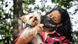 Misión Nevado atendió a más de 600 mascotas en Caracas