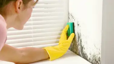 Cómo limpiar las manchas de humedad en las paredes Cómo limpiar las manchas de humedad en las paredes