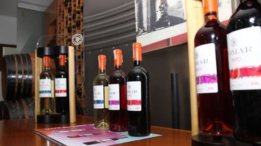 La vendimia de Bodegas Pomar se realizará en febrero