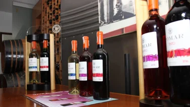 La vendimia de Bodegas Pomar se realizará en febrero