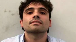 Juez mexicano frenó extradición de Ovidio Guzmán a EEUU