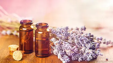 Beneficios de las Flores de Bach Beneficios de las Flores de Bach