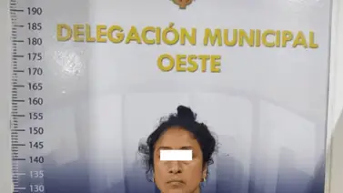 Golpeó a una mujer con un martillo y secuestró a su bebé de nueve meses Golpeó a una mujer con un martillo y secuestró a su bebé de nueve meses