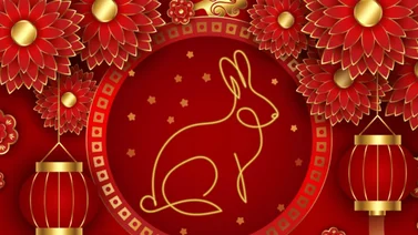 Año del Conejo de Agua