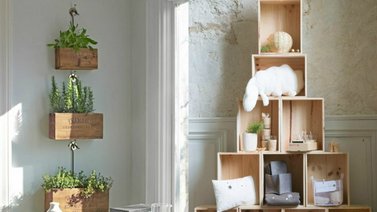 Empieza el año dándole un ambiente eco-friendly a tu hogar