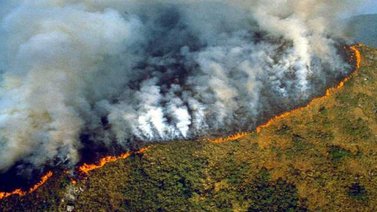 ¡Lamentable! Incendio en zona fronteriza de Perú desata nuevamente polémica