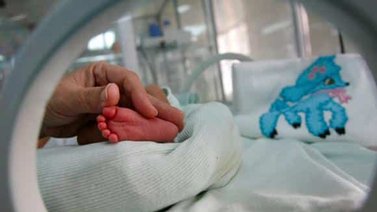 Fallecen ocho bebés prematuros en un hospital de La Habana