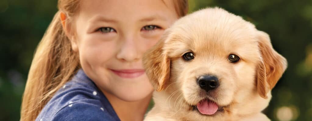 Qué debes comprar si adoptas un perro