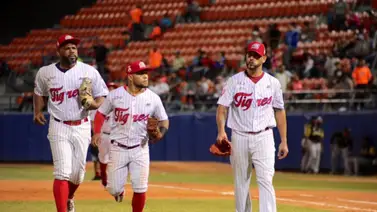 ¡Tigres colmillos de sable! Aragua preparó arepas de Tiburón en Maracay ¡Tigres colmillos de sable! Aragua preparó arepas de Tiburón en Maracay