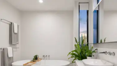 ¡Estas son las mejores plantas para el baño! ¡Estas son las mejores plantas para el baño!