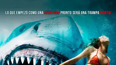 “Mar de sangre”: un tiburón acecha de nuevo llega a los cines de Venezuela este #5Ene “Mar de sangre”: un tiburón acecha de nuevo llega a los cines de Venezuela este #5Ene