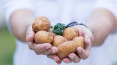 PepsiCo adelanta el programa "Agro con Propósito"