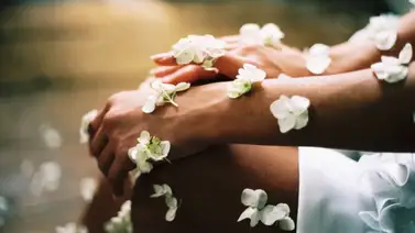 Cuatro plantas para cuidar la piel Cuatro plantas para cuidar la piel