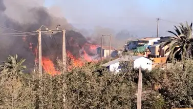 Así amanece Viña del Mar luego del fuerte incendio forestal Así amanece Viña del Mar luego del fuerte incendio forestal
