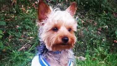 Tenebrosa confesión: Lo mató hace nueve años porque no lo soportaba Tenebrosa confesión: Lo mató hace nueve años porque no lo soportaba