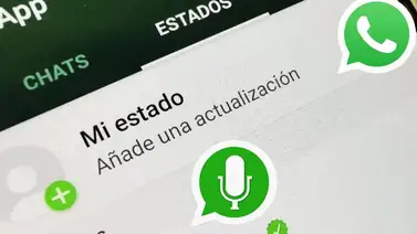Última actualización de WhatsApp se vuelve tendencia en los usuarios Última actualización de WhatsApp se vuelve tendencia en los usuarios