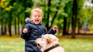 Vencer el miedo irracional a los animales Vencer el miedo irracional a los animales