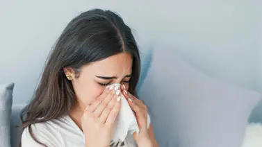 Todo sobre la rinitis alérgica Todo sobre la rinitis alérgica