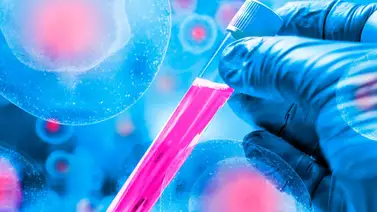 Crean un tratamiento pionero para cáncer incurable Crean un tratamiento pionero para cáncer incurable