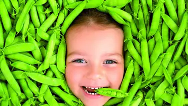 Entérate en qué te beneficia el consumo de arvejas Entérate en qué te beneficia el consumo de arvejas