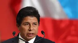 Castillo a la OEA: Se debe evitar una nueva modalidad de golpe de Estado en Perú