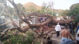 Reportan un muerto tras caer árbol sobre una casa en Carabobo