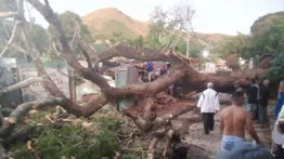 Reportan un muerto tras caer árbol sobre una casa en Carabobo
