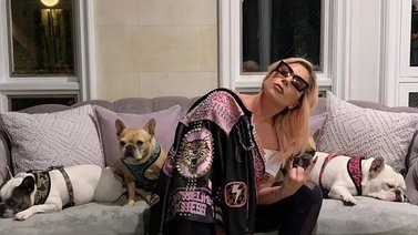 Por robar los perros de Lady Gaga es sentenciado a 21 años de prisión