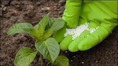 Venezuela prepara el rumbo para exportar fertilizantes en 2023
