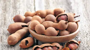 Tamarindo: descubre los beneficios que aporta al organismo Tamarindo: descubre los beneficios que aporta al organismo