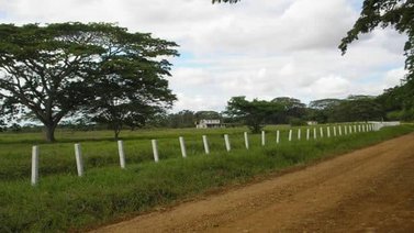 Asesinan al cuidador de una finca en Lara