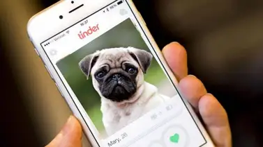 PETA demandó a usuarios de Tinder por tener fotos con sus mascotas PETA demandó a usuarios de Tinder por tener fotos con sus mascotas
