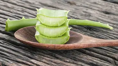 ¿Piel sensible? Cuídala con el gel de aloe vera ¿Piel sensible? Cuídala con el gel de aloe vera