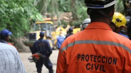 Un muerto y varios heridos deja la caída de un árbol en Baruta
