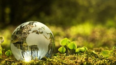 ONU solicita inversión millonaria para cuidar el medio ambiente