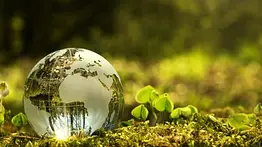 ONU solicita inversión millonaria para cuidar el medio ambiente