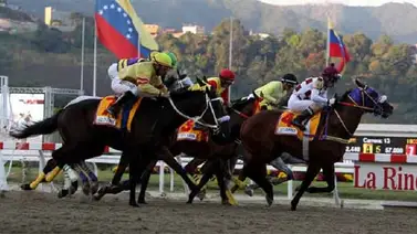 Cuenta de Twitter roba contenido hípico del BLOQUE DEARMAS Cuenta de Twitter roba contenido hípico del BLOQUE DEARMAS