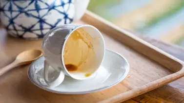 Cómo quitar las manchas de café en la taza Cómo quitar las manchas de café en la taza