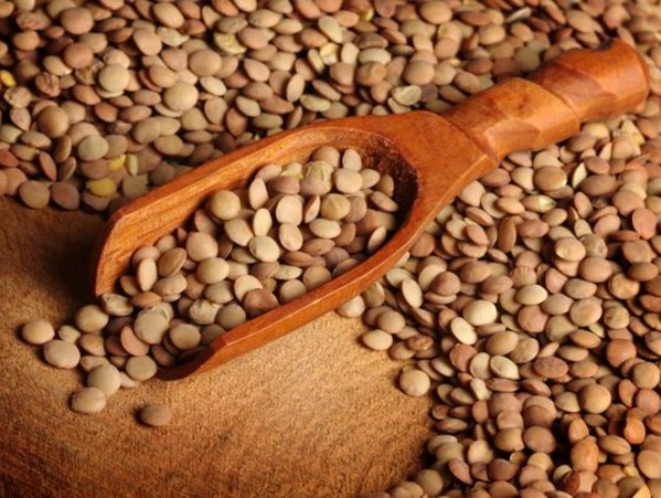 Cómo cocinar unas lentejas con arroz Cómo cocinar unas lentejas con arroz