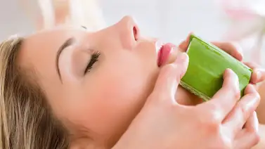 Potencia tu belleza usando gel de sábila Potencia tu belleza usando gel de sábila