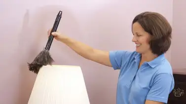 Limpiar las pantallas de las lámparas Limpiar las pantallas de las lámparas