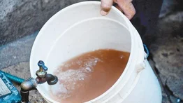 ¿Cuáles son los riesgos para la salud ante el agua de mala calidad en los hogares?