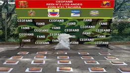 Saab: Más de 9.000 condenados por tráfico de drogas desde 2017