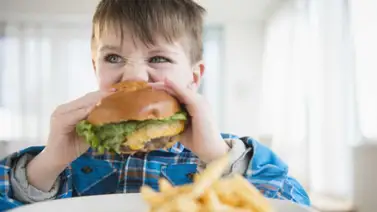 Alimentos que deben evitar darle a los niños Alimentos que deben evitar darle a los niños