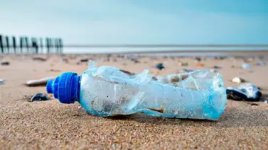 WWF dio cifras sobre la lucha contra la contaminación de plásticos WWF dio cifras sobre la lucha contra la contaminación de plásticos