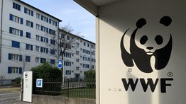 WWF dio cifras sobre la lucha contra la contaminación de plásticos WWF dio cifras sobre la lucha contra la contaminación de plásticos